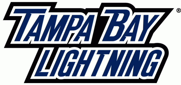 Tampa Bay Lightning 2011 Wordmark Logo DIY iron on transfer (heat transfer)